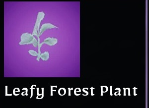 Leafy Forest Plant