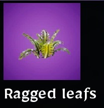 Ragged leafs