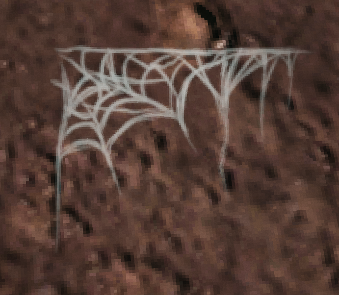 Corner spider web