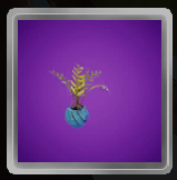 Fern Pot