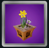Flower Box