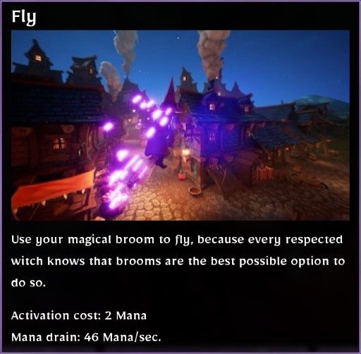 Fly Description