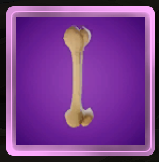 Giant Bone