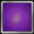 Giant, round spider web