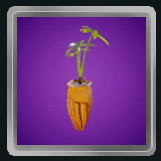 Papyrus Pot