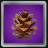 Pinecone