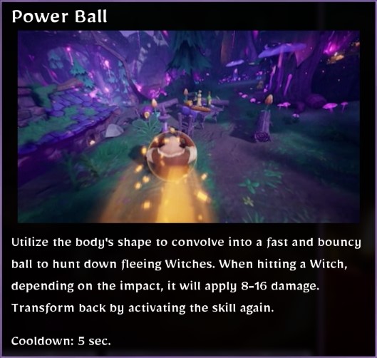 Power Ball Description
